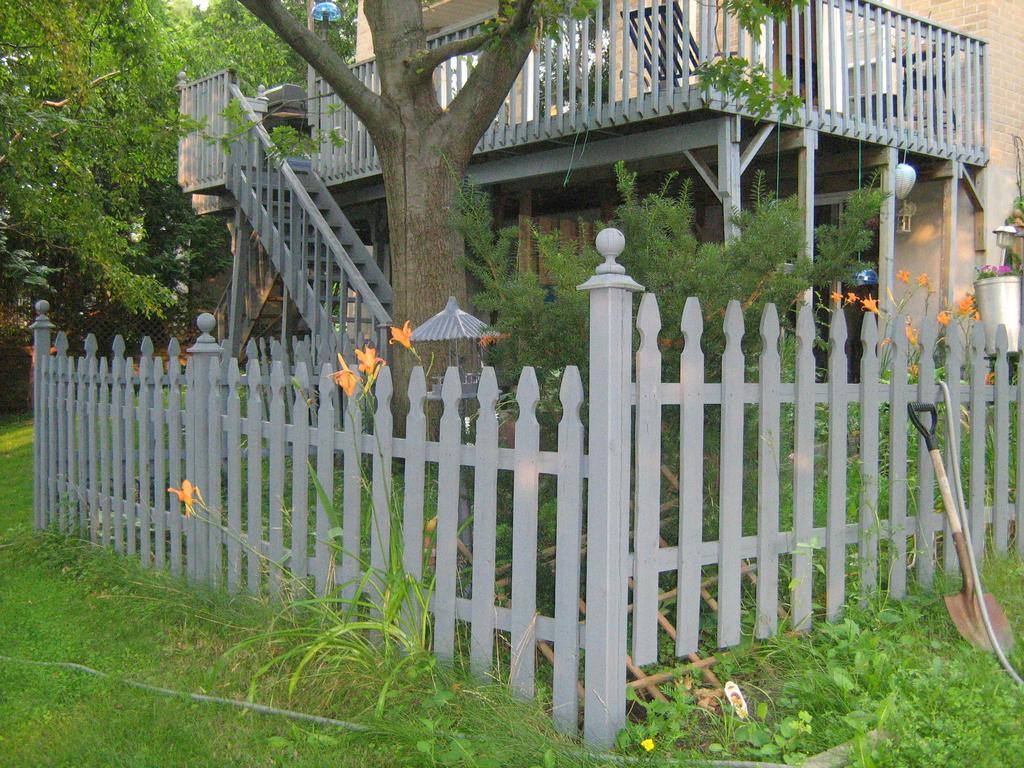 O'Brien House Bed and Breakfast Kingston Buitenkant foto